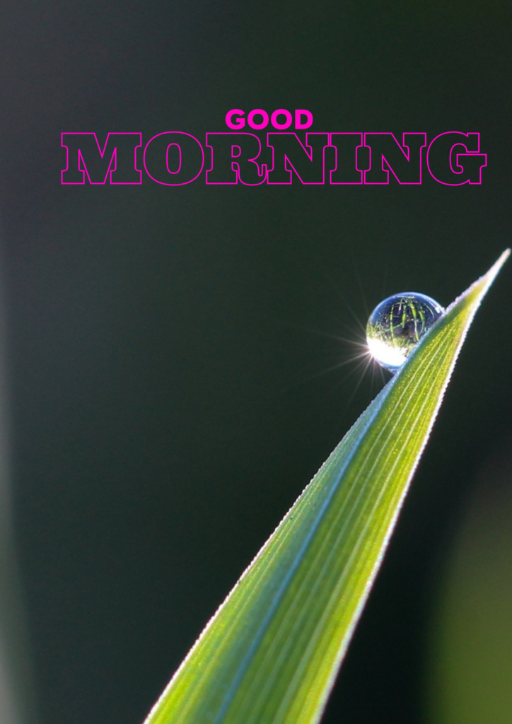 Good Morning - Water droplet